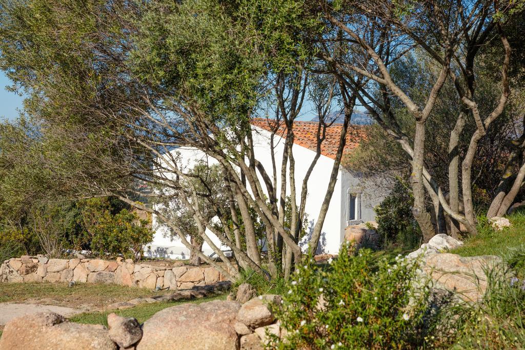 Agriturismo Cabu Abbas Olbia Exterior photo